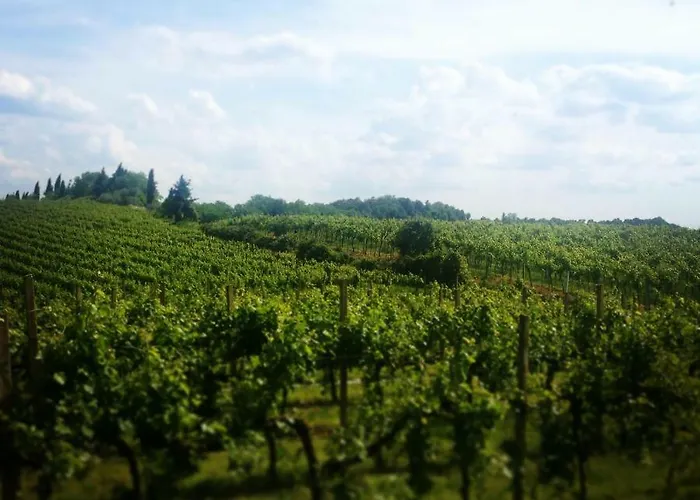 Sweet Corner Castelnuovo del Garda